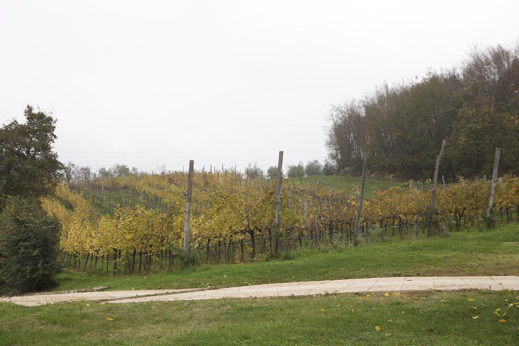 Agriturismo Marani アルクニャーノ エクステリア 写真